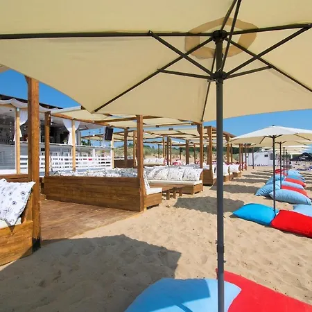 далия - Dalia * ヴァルナ