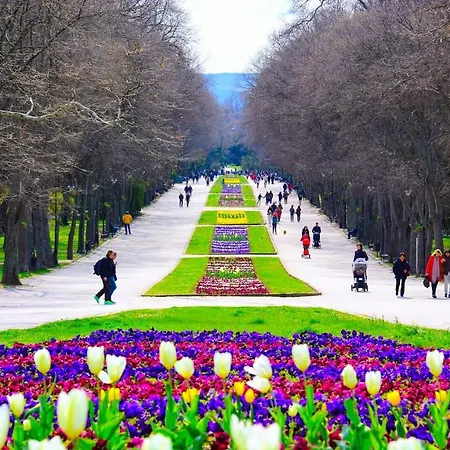 далия - Dalia アパート ヴァルナ